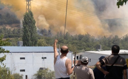 İzmir’in iki ilçesinde yangınlar kontrol altında