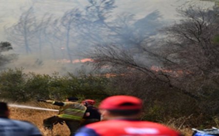 Bornova Gökdere’de yangınla mücadele sürüyor