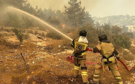 Akkuyu NGS itfaiye birimi, yangın söndürme çalışmalarına destek verdi