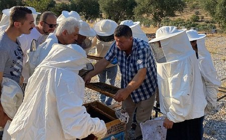 Büyükşehir’den Arıcılara Uygulamalı Eğitim Desteği