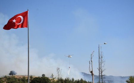 Bakan Yerlikaya’dan 5 günlük yangın raporu: 7 gözaltı, 3 tutuklama