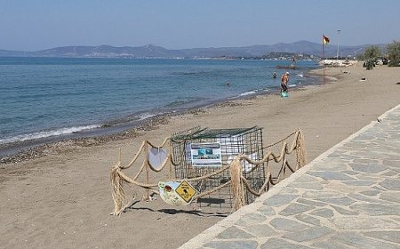 Menderes’te Caretta Caretta Heyecanı