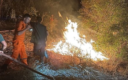 Kemer’de korkutan yangın