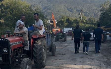 Düzce-Sakarya sınırında orman yangını