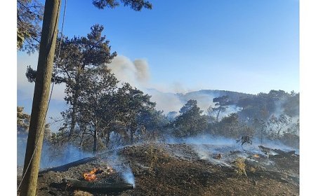 Büyükşehir ekiplerinden Akhisar’daki yangına müdahale