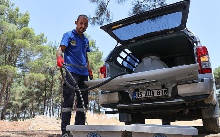 Buca Belediyesi’nden can dostları için hayati hamle