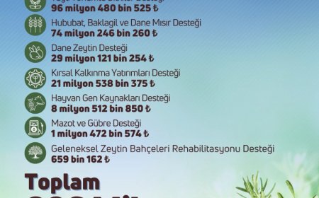 Çiftçilere 826 milyon TL’lik destek hesaplarda