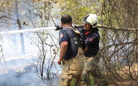 İBB Ekipleri Sakarya ve Bilecik’te Orman Yangınlarına Müdahale Desteğine Devam Ediyor