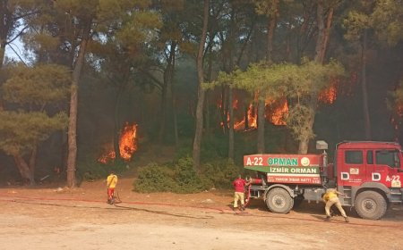 İzmir Gaziemir’deki yangın kontrol altında