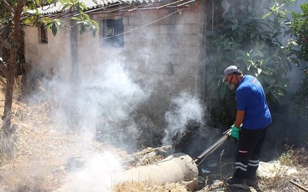 Antalya’nın tüm ilçelerinde haşereyle mücadele sürüyor