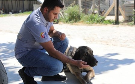 Efes Selçuk’ta “Satın Alma Sahiplen” Çağrısı
