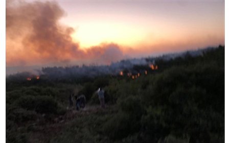 Urla’da yangın kontrol altına alındı