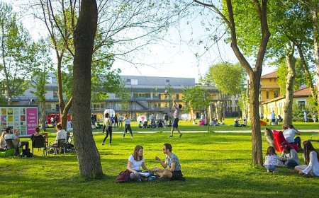 Üniversite tercih sürecinde adaylar nelere dikkat etmeli?