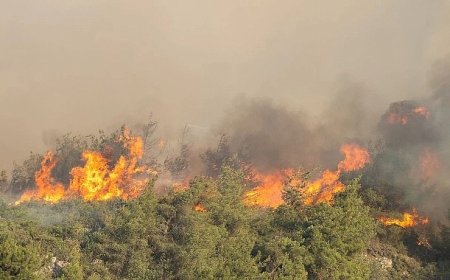Komşudaki yangına çok sayıda araç ve ekiple müdahale
