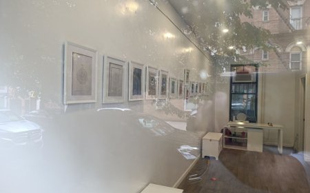 Türk Sanatçı Şule Sayan’ın sergisi New York’ta açıldı