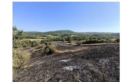 Yangında zarar gören çiftçilere gübre ve tohum desteği