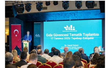 Geri dönüşüm ve organik atık için yeni tesisler yolda