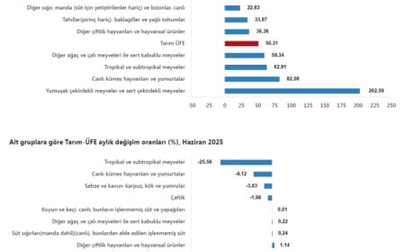 Sert ve yumuşak çekirdekli meyveler zirvede