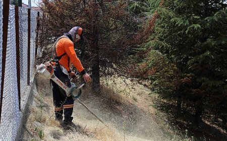 Çankaya, Kent Sağlığı ve Güvenliği İçin Sahada