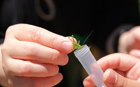 Kuzuyayla’da biyoçeşitlilik haritası çıkarıldı