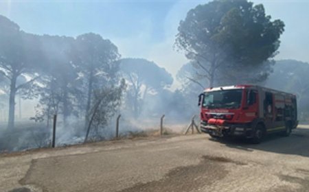 Bergama’da orman yangınına müdahale ediliyor