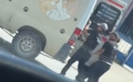 Düzce’de sokak köpeklerinin toplanma görüntüleri sosyal medyada tepki çekti