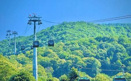 Kartepe Teleferik 15 Temmuz’da yüzde 50 indirimli