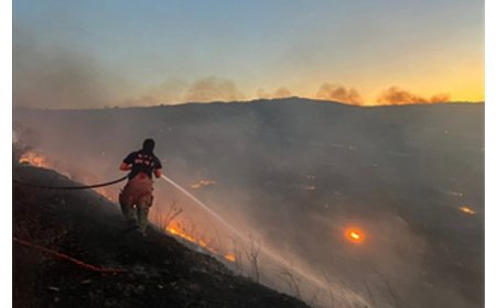 Aliağa Hacıömerli Mahallesi makilik alanda çıkan yangına müdahale sürüyor