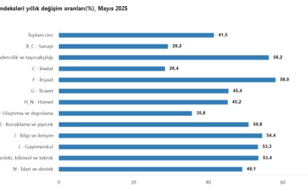 Ciro endeksi Mayıs’ta yüzde 41,5 arttı… İnşaat sektörü zirvede!