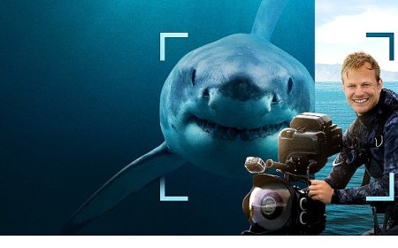 Köpekbalığı Festivali’ne Özel ‘Bertie Gregory Köpekbalıkları ile Yüz Yüze’, 13 Temmuz Pazar 20.00’de National Geographic WILD Ekranlarında!