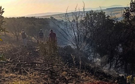 Bursa Karacabey’de orman yangını: 500 dönüm zarar gördü