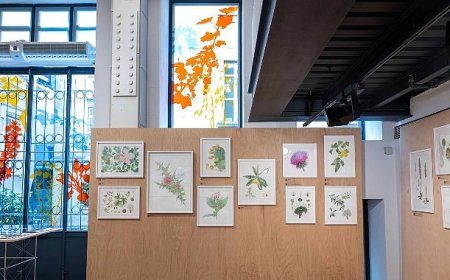 Salt Beyoğlu’ndaki Mutfak’ta devam eden “Anadolu’nun Bitki Mirası” sergi ekibinden Burçin Çıngay’ın rehberliğindeki turlarla yorumlamaya açılıyor.