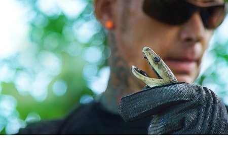 ‘Şehirdeki Yılanlar: Zehrin Ötesi’, 11 Temmuz Cuma 20.00’de National Geographic WILD Ekranlarında!