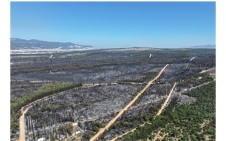 Tugay: Yangın bölgeleri için elimizden geleni yapacağız ama dayanışmaya ihtiyacımız var