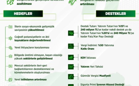 Topyekûn yerel kalkınma hamlesi