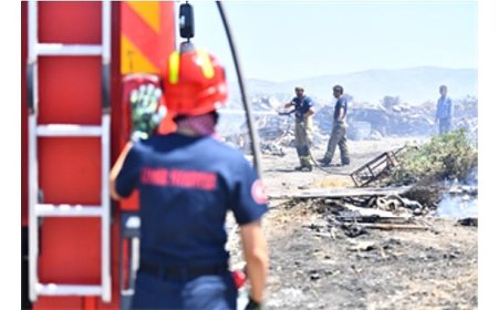 İzmir’de bir ayda 26 bin 260 hektar alan yandı