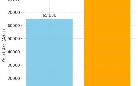 Ankara’da satılık konut arzı yüzde 30,77 arttı… İyi pazarlanan konutlar daha hızlı satılıyor