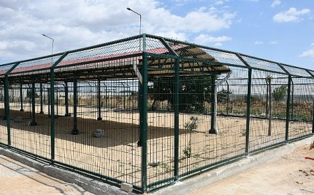 Can dostların yaşam alanları büyütülüyor