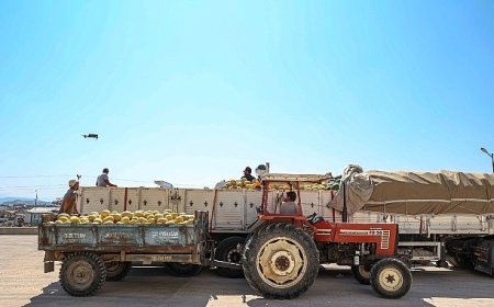 Manavgat Yeni Hal Toptancı Kompleksi üreticilerin ve tüccarların yüzlerini güldürüyor