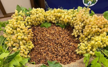 Kuru meyve sektöründe 12 ihracat şampiyonunun 11’i Egeli