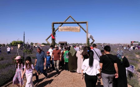 Konya Karatay’ın mor güzelliği rekorla taçlandı