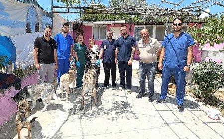 Üsküdar İle Menderes Can Dostlar İçin El Ele