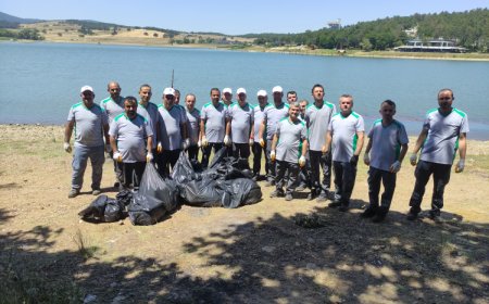 Bursa ormanlarında yangınlara karşı ‘temizlik’ seferberliği!