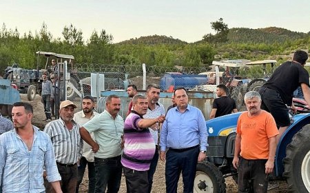 Başkan Dutlulu Yangın Bölgesinde İncelemelerde Bulundu