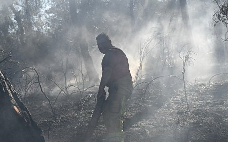 İBB, İzmir’in yardımına koştu