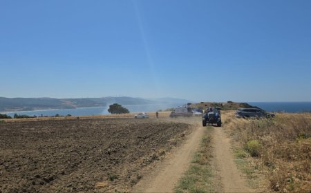 Mudanya kırsalında yangın! Buğday tarlası son anda kurtarıldı