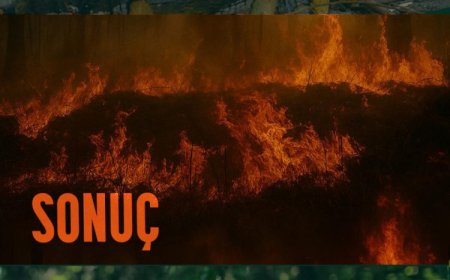 OGM’den tedbir ve duyarlılık çağrısı