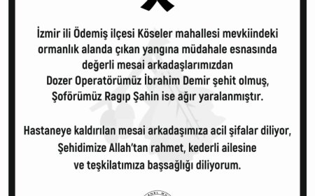 Orman işçisi İbrahim Demir İzmir yangınında şehit düştü!