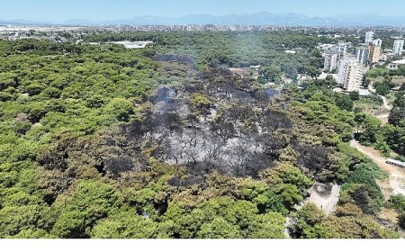 Antalya Büyükşehir Belediyesi İtfaiyesi alevlerle mücadelesini sürdürüyor