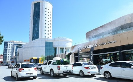 İlçe Genelinde Haşere Mesaisi